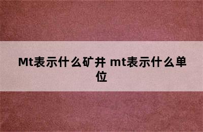 Mt表示什么矿井 mt表示什么单位